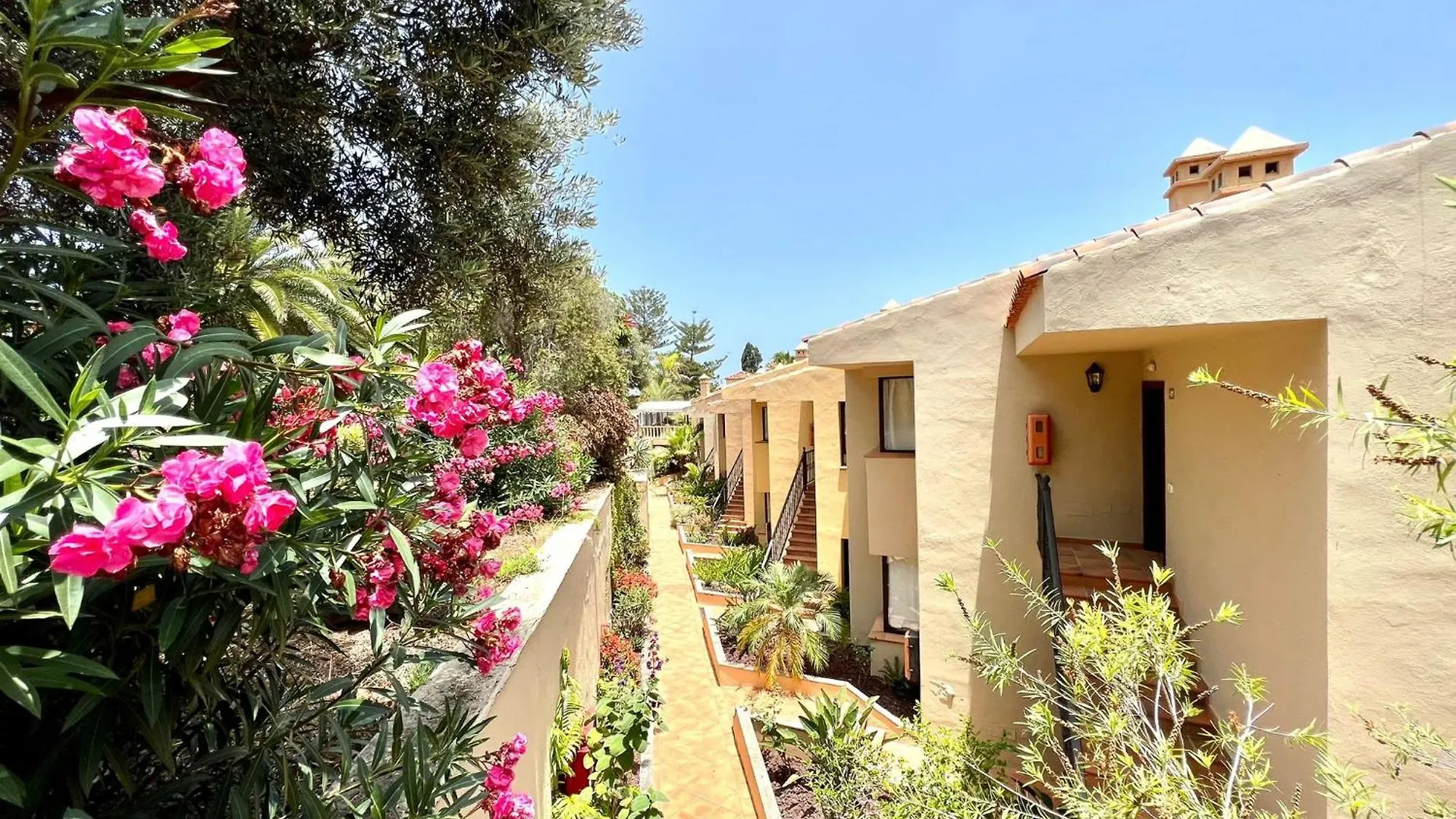 Apto. Con Gran Terraza Con Vista Al Mar Y Piscina Los Realejos Appartement